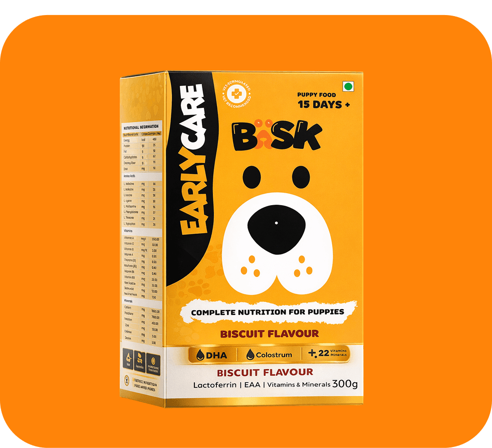 BASK Biscuit packaging design